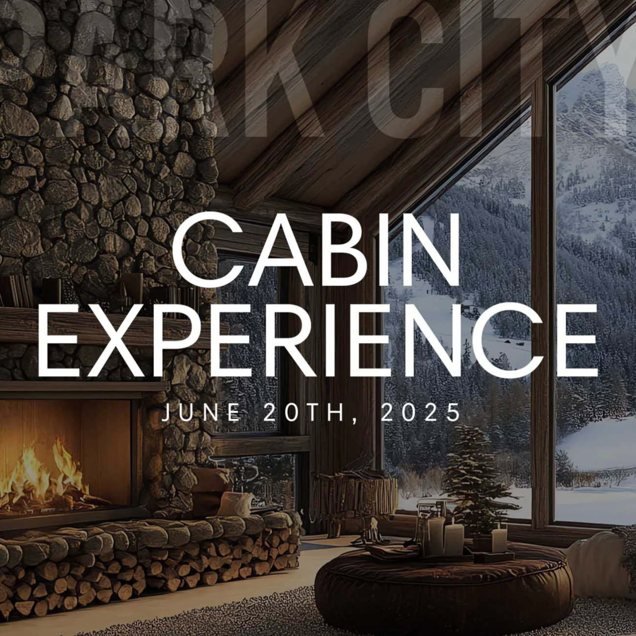 THE CABIN EXPERIENCE